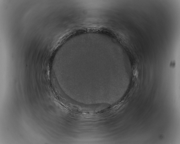 X0000114211252200911201015