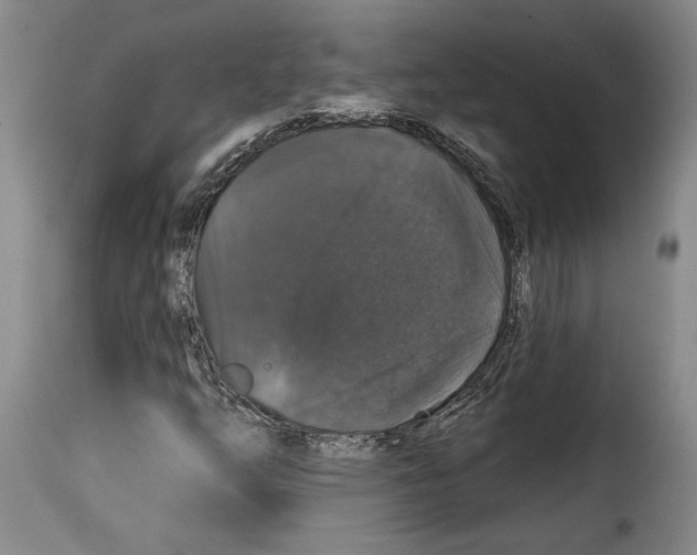 X0000114211254200911201015