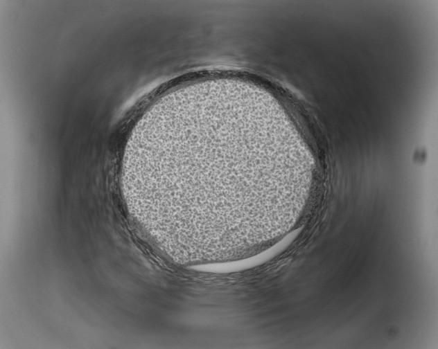 X0000114211255200911201015