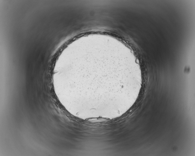 X0000114211256200911201015