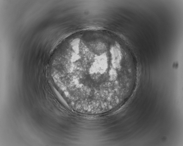X0000114211257200911201015