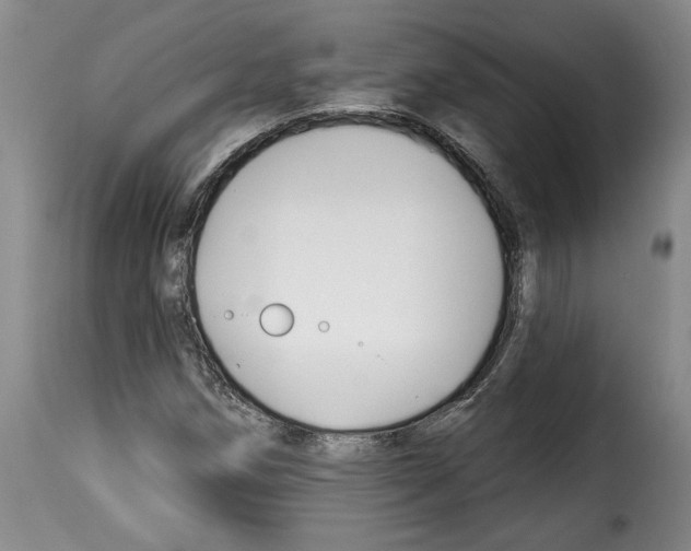 X0000114211258200911201015