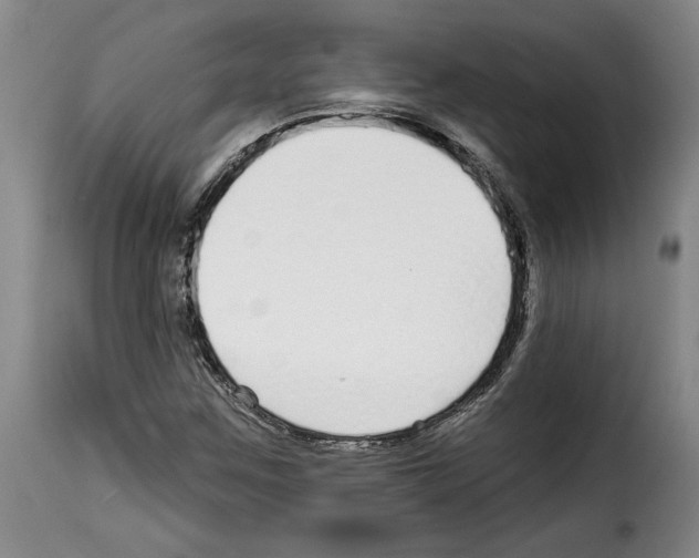 X0000114211259200911201015