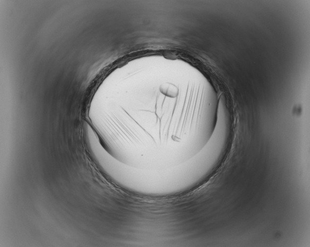 X0000114211261200911201015