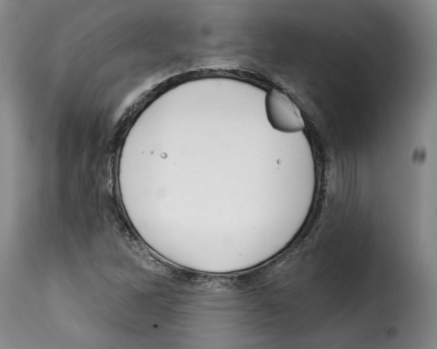 X0000114211262200911201015