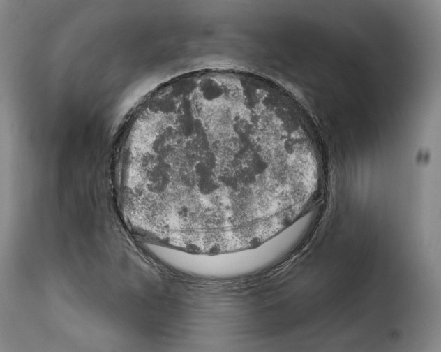 X0000114211263200911201015