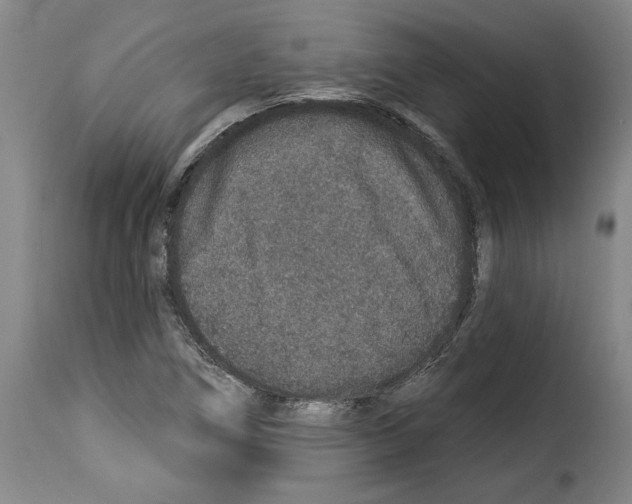 X0000114211266200911201015