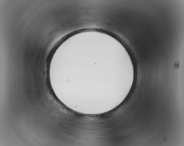 X0000114211270200911201015
