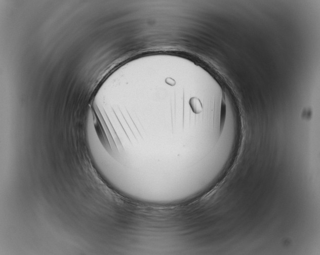 X0000114211273200911201015