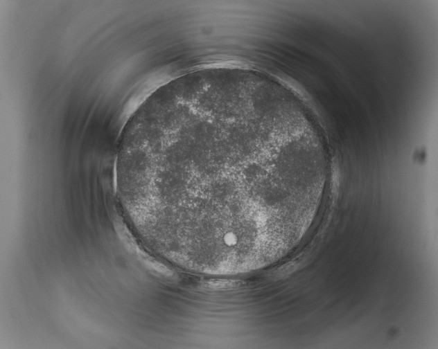 X0000114211274200911201015