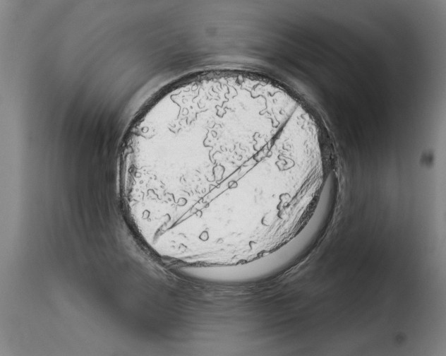 X0000114211275200911201015