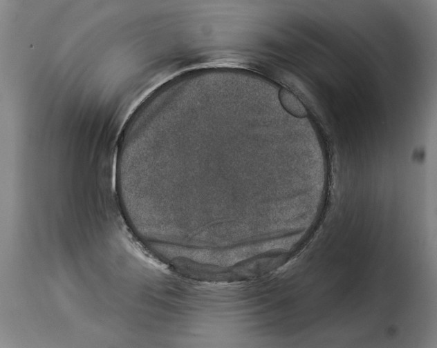X0000114211276200911201015