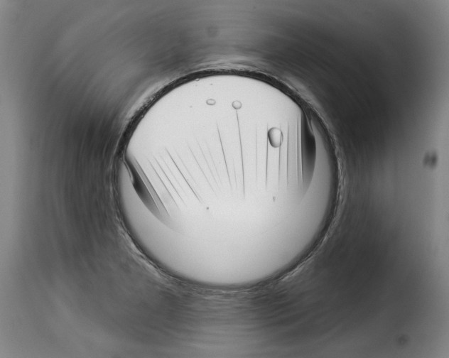 X0000114211277200911201014