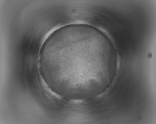 X0000114211278200911201014