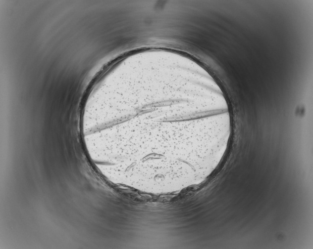 X0000114211280200911201014