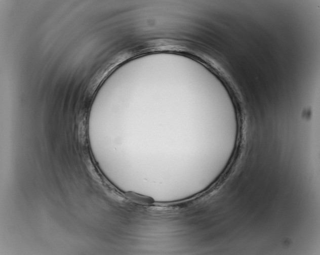 X0000114211281200911201014