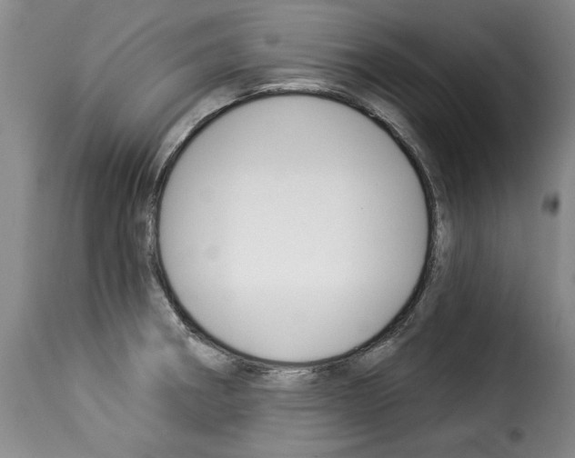 X0000114211282200911201014
