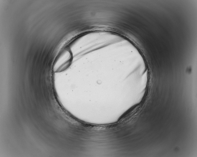 X0000114211283200911201014
