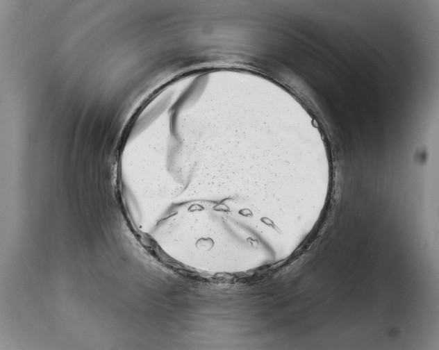 X0000114211284200911201014