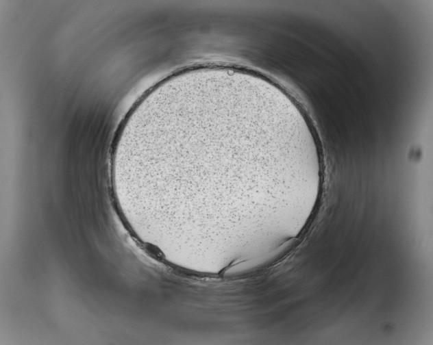 X0000114211287200911201014