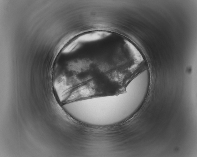X0000114211291200911201014