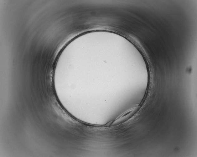X0000114211292200911201014