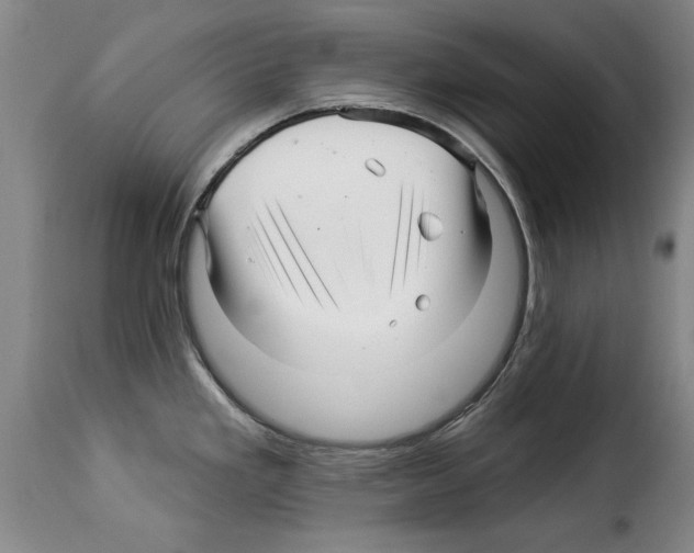 X0000114211293200911201014