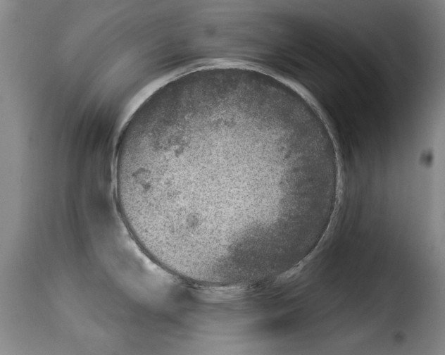 X0000114211294200911201014