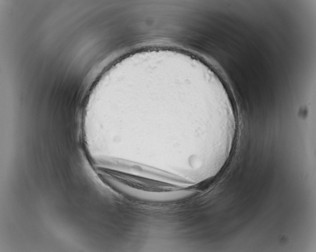 X0000114211295200911201014