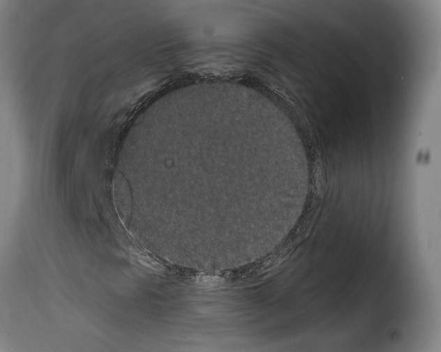 X0000114211297200911201014