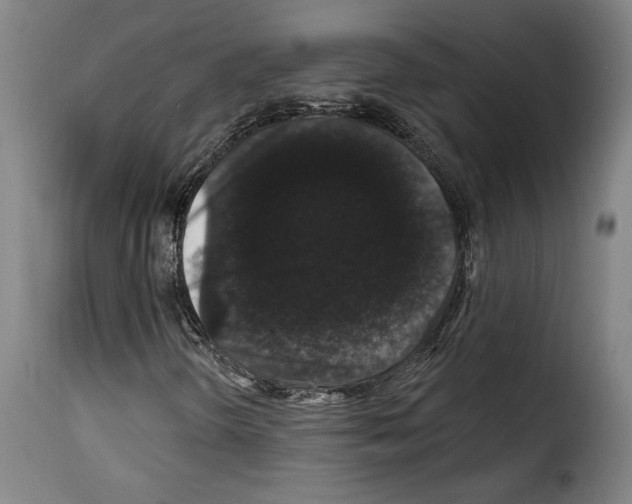 X0000114211298200911201014