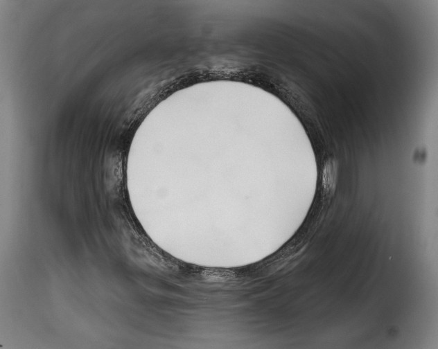 X0000114211299200911201014