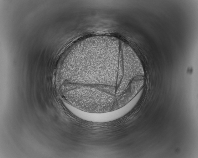 X0000114211300200911201014