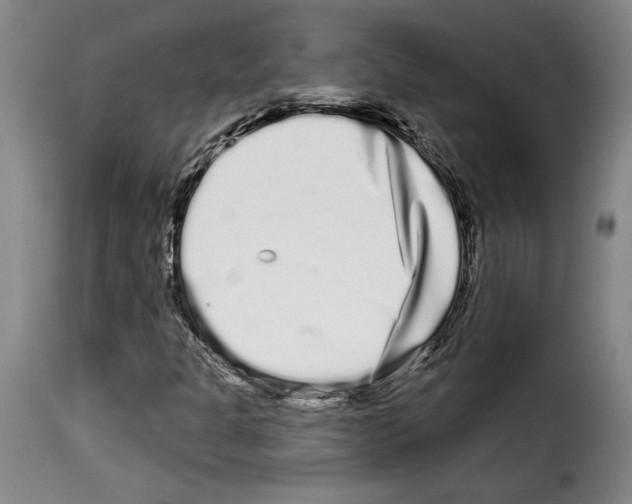 X0000114211301200911201014