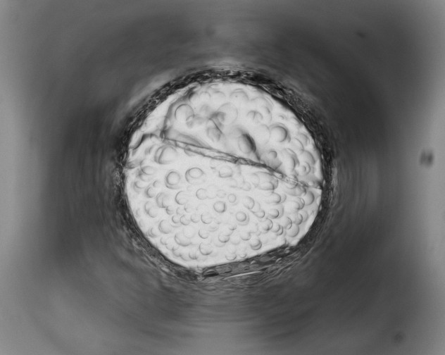 X0000114211302200911201014