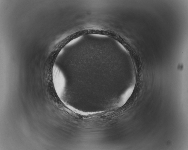 X0000114211303200911201014