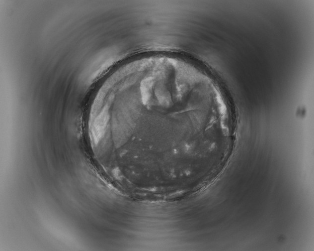 X0000114211306200911201014