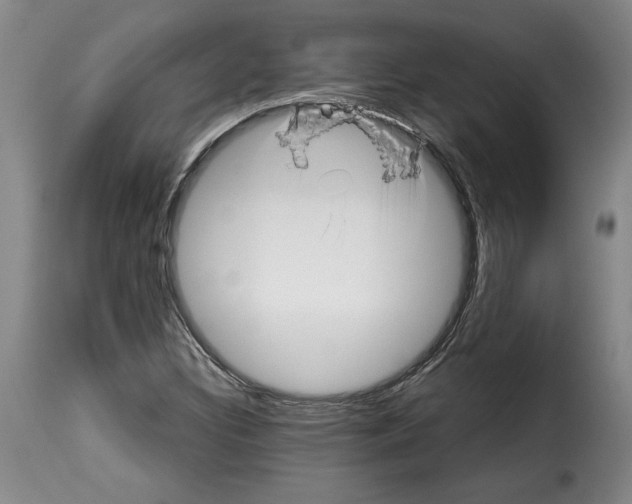 X0000114211308200911201014