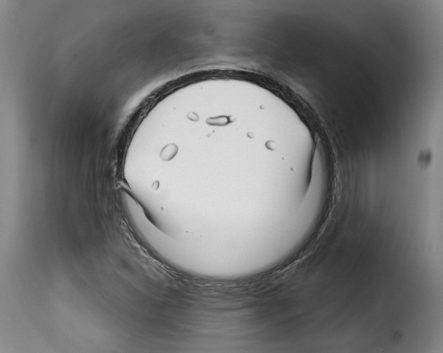 X0000114211310200911201014