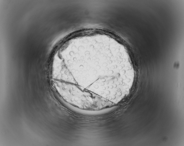 X0000114211311200911201014