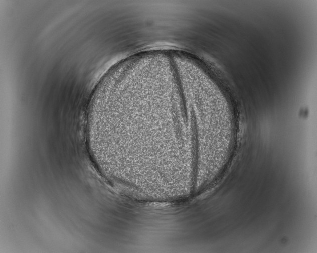 X0000114211313200911201014