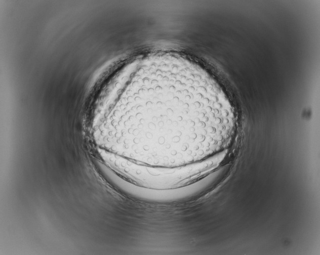 X0000114211317200911201014
