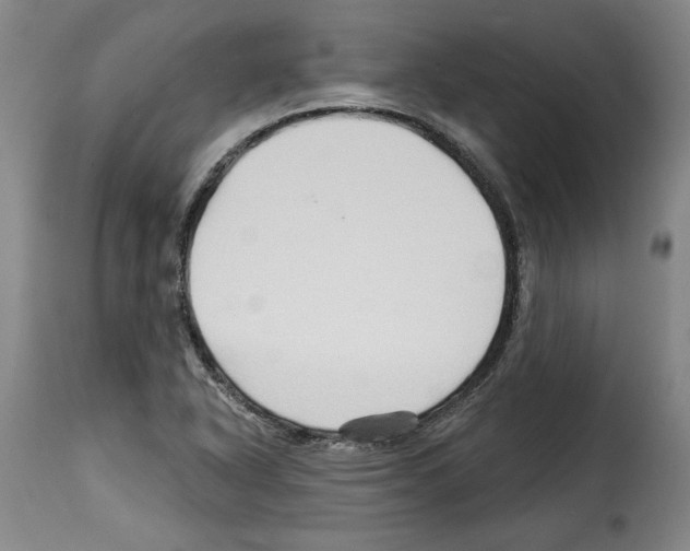 X0000114211318200911201014