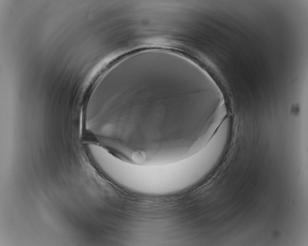 X0000114211323200911201014