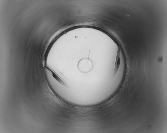 X0000114211324200911201014
