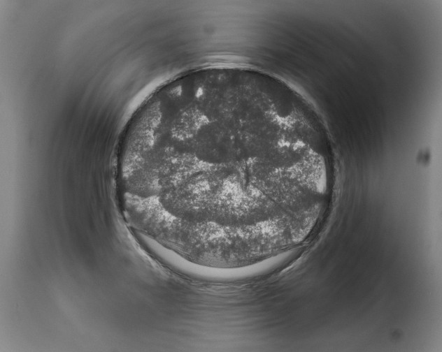 X0000114211325200911201014