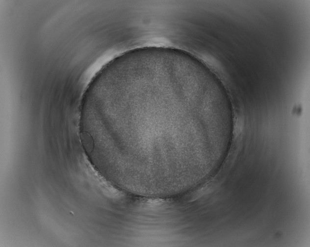 X0000114211326200911201014