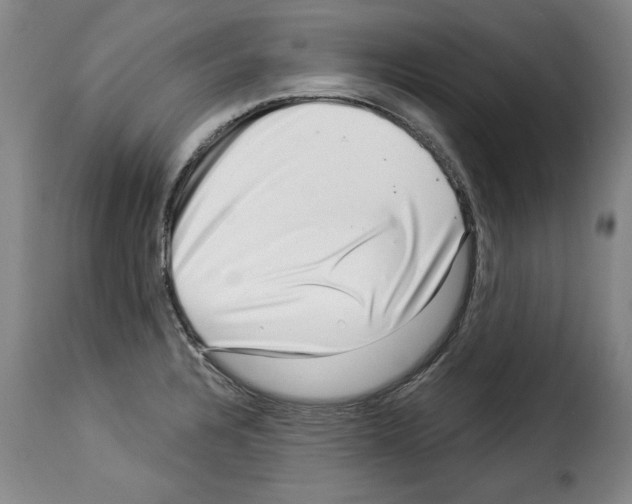 X0000114211328200911201014