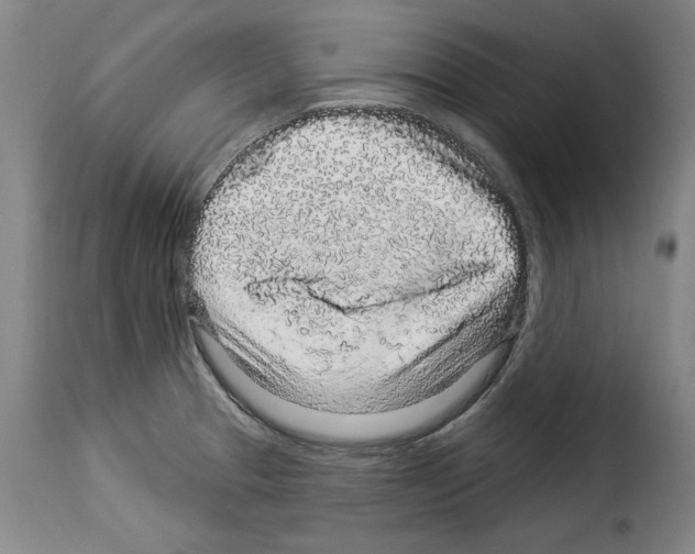 X0000114211329200911201014