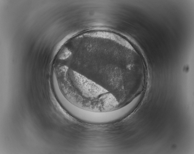X0000114211333200911201014